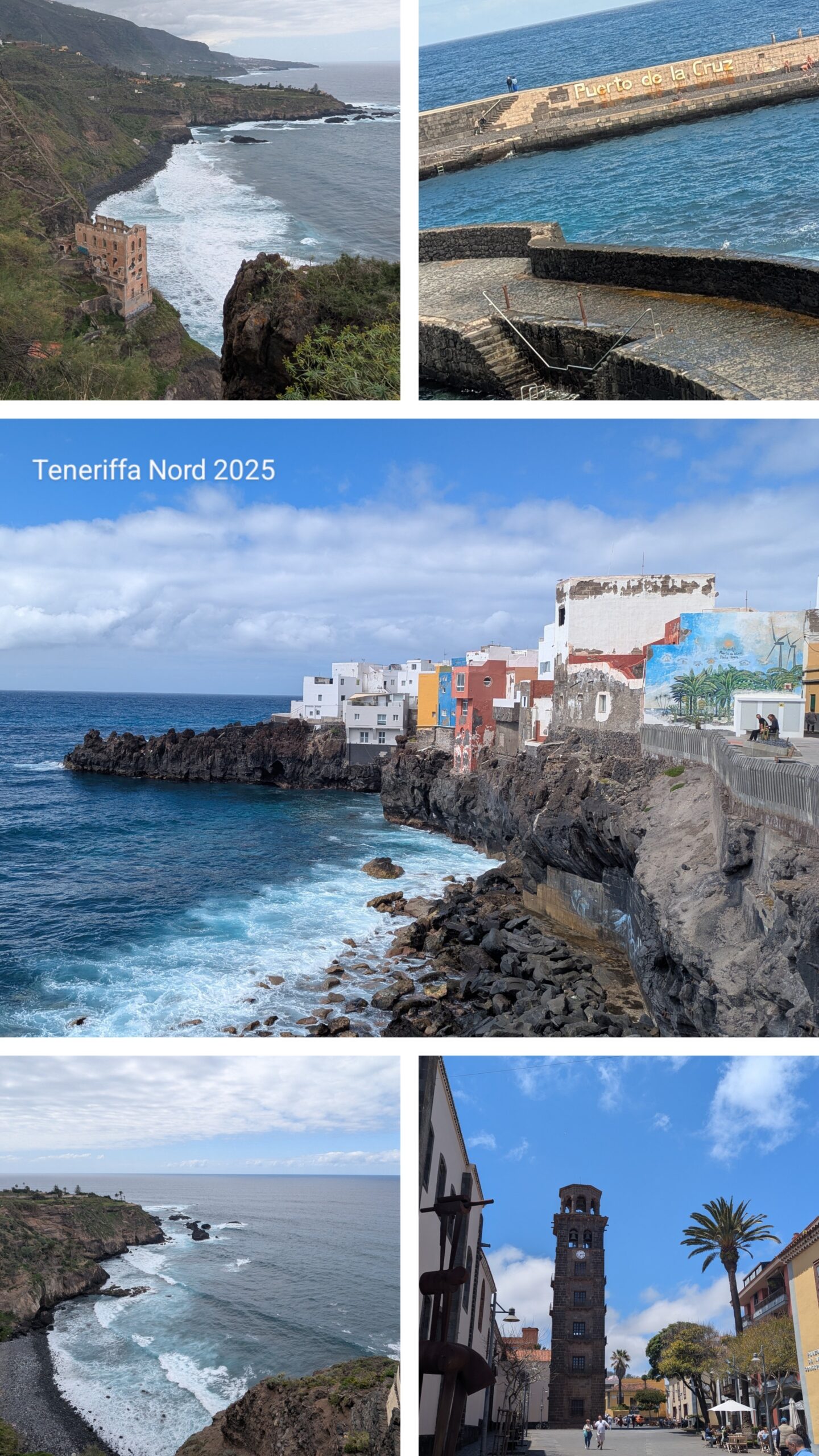 20250501_155551-COLLAGE~2