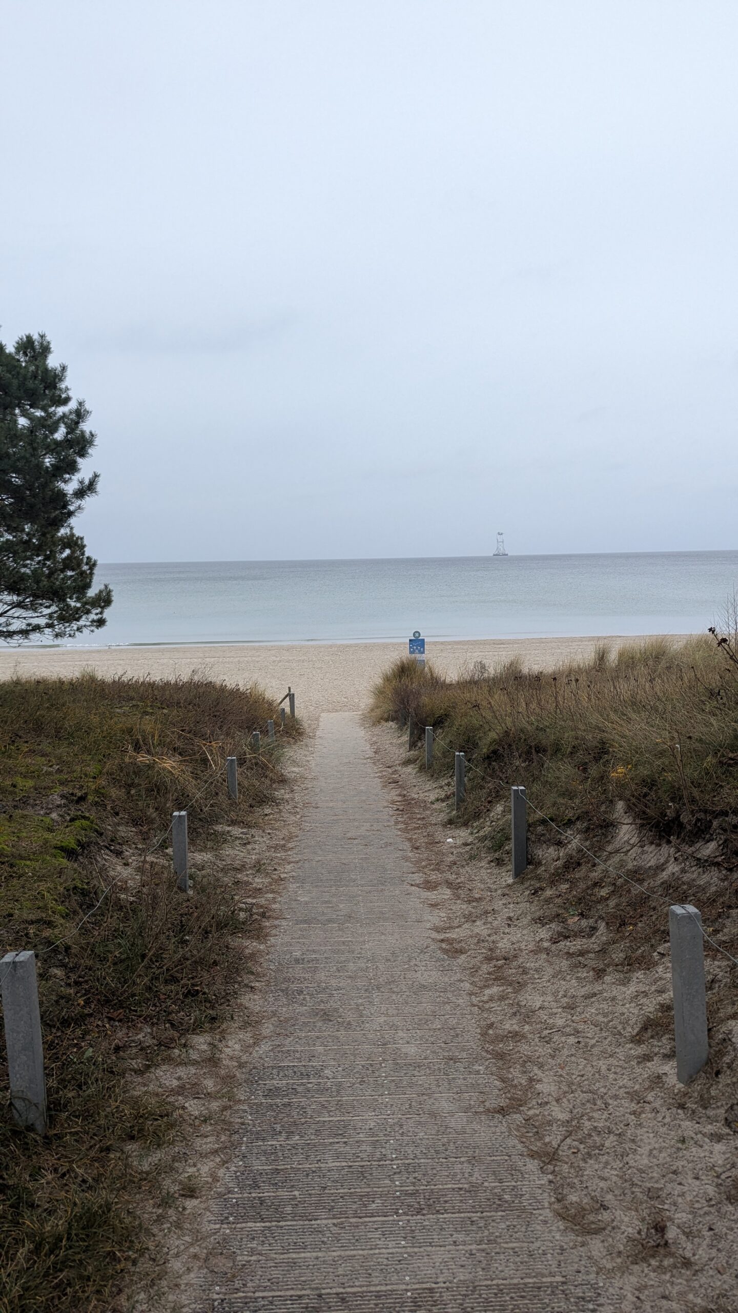 PXL_20251211_130434003