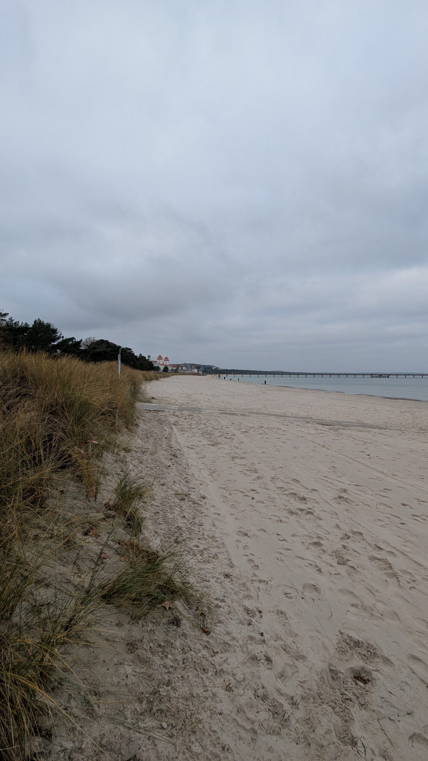 PXL_20251212_103443350